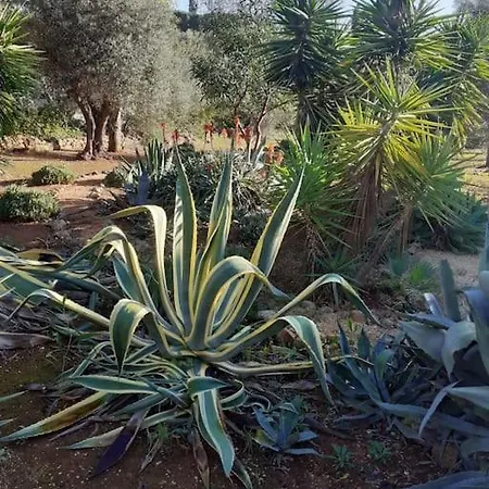 Casa Lorenzo Sleeps 10, With Private Tennis Court & Swimming Pool And 5 Beds