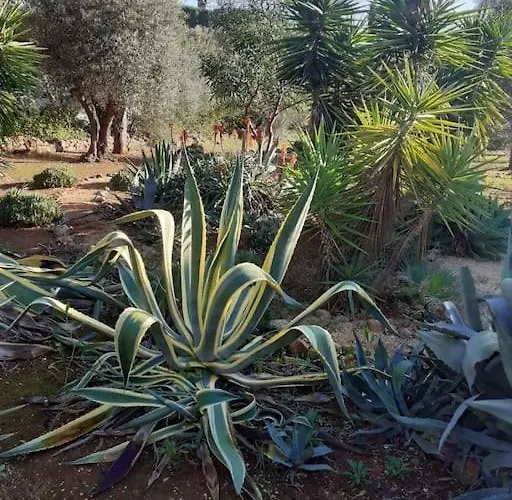 Casa Lorenzo Sleeps 10, With Private Tennis Court & Swimming Pool And 5 Beds