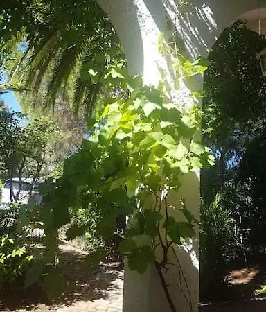 Casa Lorenzo Sleeps 10, With Private Tennis Court & Swimming Pool And 5 Beds ヴィラ